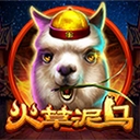 Www.yaxin55.net