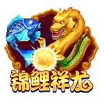 Www.yaxin338.net